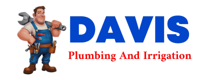 Trusted plumber in NUTTING LAKE